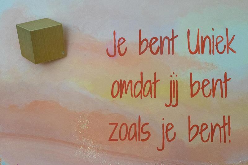 Nieuw: Kom In De Bedstee Uniek! Winterswijk Extérieur photo