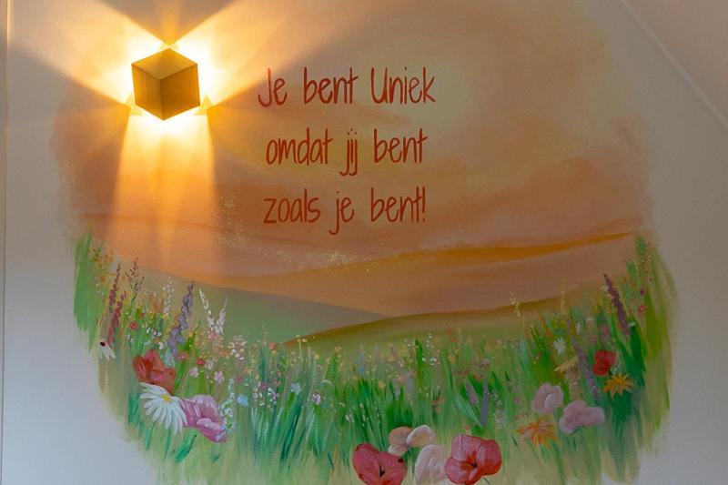 Nieuw: Kom In De Bedstee Uniek! Winterswijk Extérieur photo