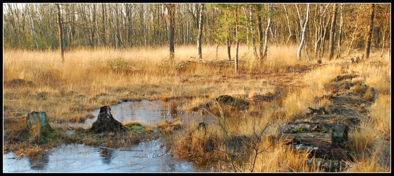 Nieuw: Kom In De Bedstee Uniek! Winterswijk Extérieur photo