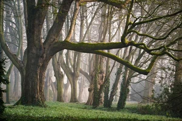 Nieuw: Kom In De Bedstee Uniek! Winterswijk Extérieur photo